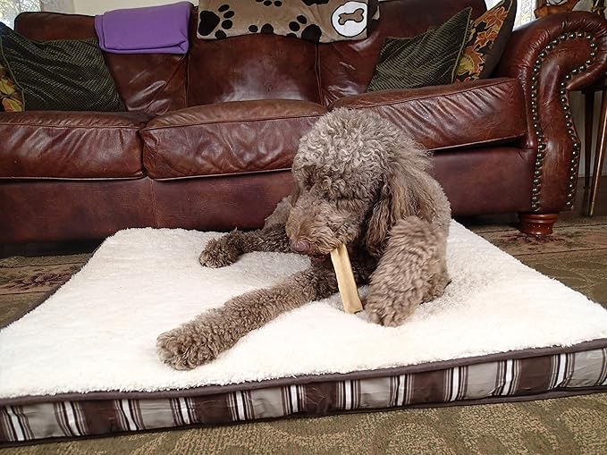 Yak Snak Dog Chews - All Natural Hard Cheese Himalayan Dog Treats - Long Lasting Dog Chews, Made from Yak Milk, Small, Medium. Large & Extra Large Sizes (Large 3-Pack)