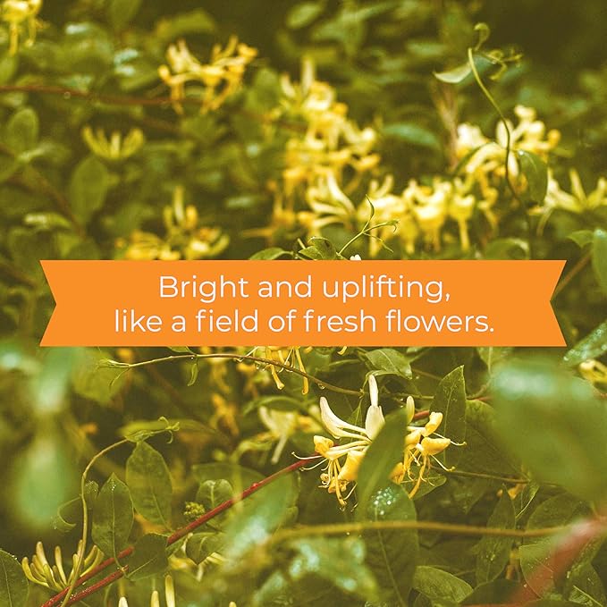 Skout's Honor Probiotic Pet Shampoo & Conditioner with Avocado Oil & Omega-3s, 97% Natural, Paraben & Sulfate-Free, Cruelty-Free, 16oz, Honeysuckle 2-Pack