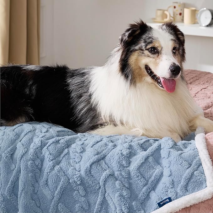 Bedsure Waterproof Dog Blankets for Large Dogs - Pet Blanket for Couch Protector Washable, Premium Jacquard Coral Fleece Cat Throw Blanket, Soft Reversible Furniture Protection, 50"x60", Light Blue