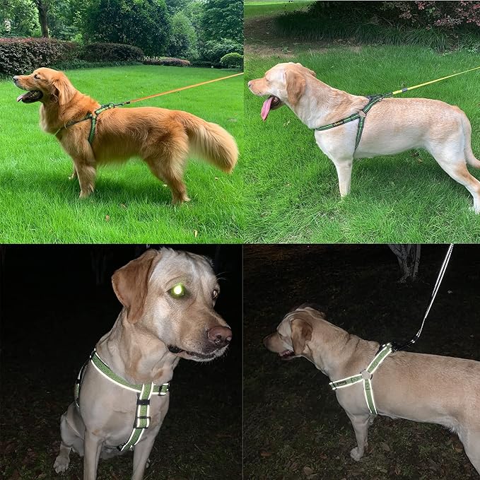 Dog Harness,No Pull Dog Harness with Reflective Adjustable,Stops Pets from Pulling and Choking On Walks,Dog Harness for Medium/Large Dogs (Blue, XL)