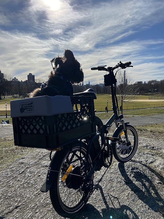 DIY Crate Conversion/Bike Dog Carrier Package (Crate NOT Included) Padded Liner is 2 Sizes in One + 4 Point Safety Harness & Crate Fasteners Holds Pets 20lb+ for Safe Pet Bicycle Travel