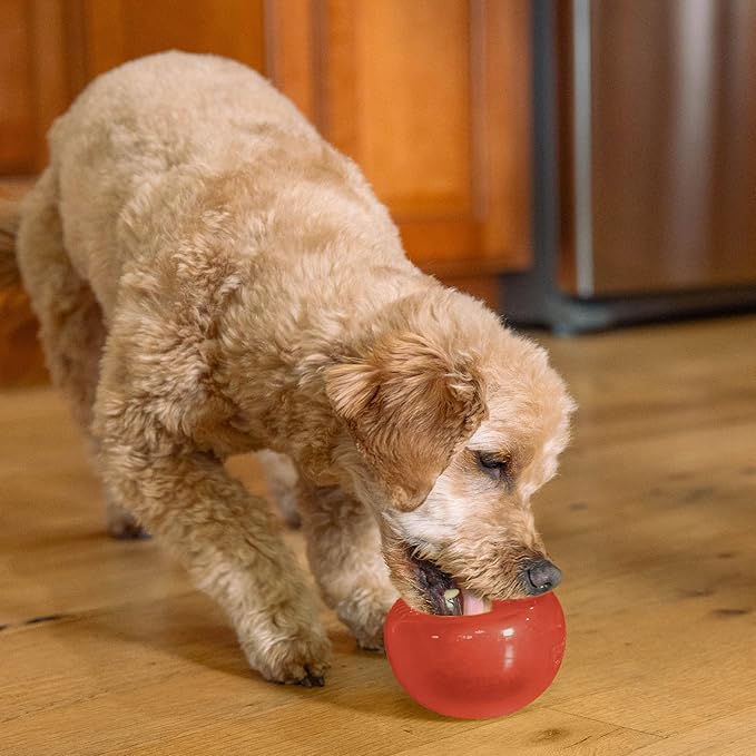 Outward Hound by Planet Dog Lil' Snoop Interactive Treat Dispensing Dog Toy, Small, Red