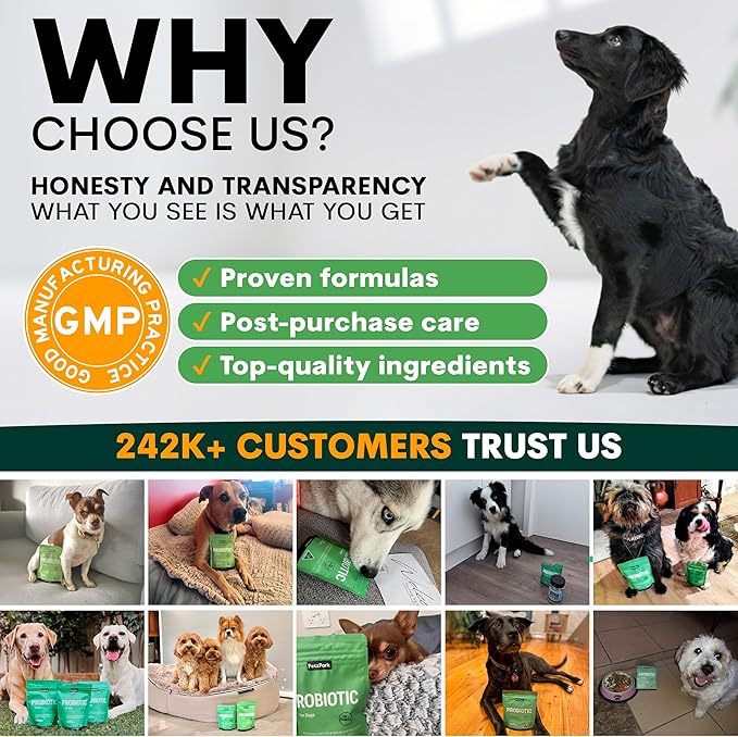 Probiotic for Dogs - Grain-Free Digestive Support Powder for Diarrhea, Bloating & Gas - Promotes Immune Support & Oral Health - Reduces Paw Licking, Allergies & Yeast Infections - 5.4 oz - 90 Scoops