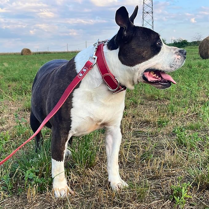 ADITYNA Heavy Duty Red Leather Dog Collar for Large Dogs - Soft and Strong Leather Dog Collar for Walking and Training