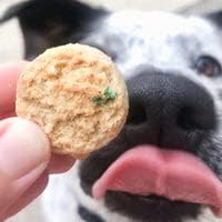 The Lazy Dog Cookie Co. Mutt Mallows Soft Baked Dog Treats, Wheat, Corn & Soy Free, Baked in The USA, 5 oz Cost Saving Variety Bundle (Pack of 3)