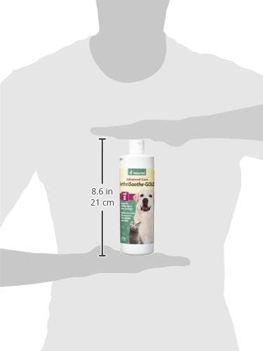 NaturVet  ArthriSoothe-Gold Advanced Care Liquid | Level 3 Advanced Joint Care | Supports Healthy Hip & Joint Function | Enhanced with Glucosamine, MSM & Chondroitin | For Dogs & Cats | 16 oz Liquid
