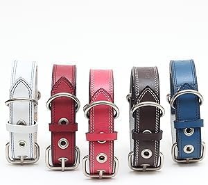 Genuine Leather Dog Collars with Stainless Steel Buckle and Double D Rings Unbreakable! (21"-24", Tan)