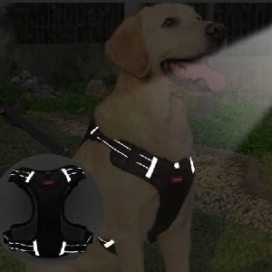 Dog Harness with Soft Handle, Adjustable and Breathable Dog Harness for Small Dogs No Pull, Reflective No Choke Dog Vest Harness, Easy to Put On Take Off(Black, S)