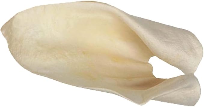 Redbarn All-Natural Cow Ears Chews for Dogs - Single Ingredient Rawhide Alternative Supports Joint and Dental Health - Grain Free Treat Made Without Chemicals - Case of 100 Ears