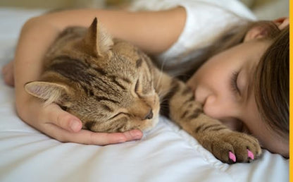 Feline Soft Claws Cat Nail Caps Take-Home Kit, Small, Pink