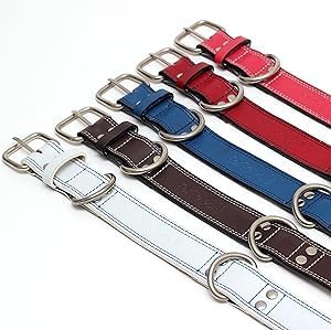 Genuine Leather Dog Collars with Stainless Steel Buckle and Double D Rings Unbreakable! (9"-12", Tan)
