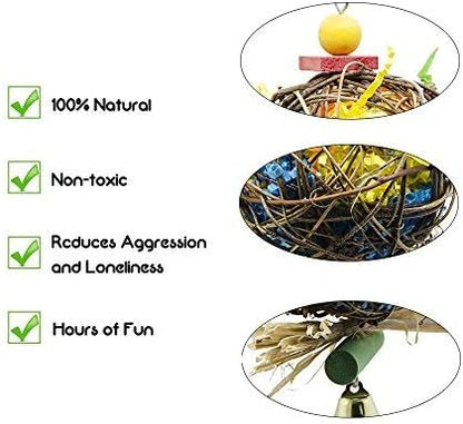 EBaokuup 2 Pack Bird Chewing Toys Foraging Shredder Parrot Cage Shredder Hanging Toy for Cockatiel Conure African Grey Amazon