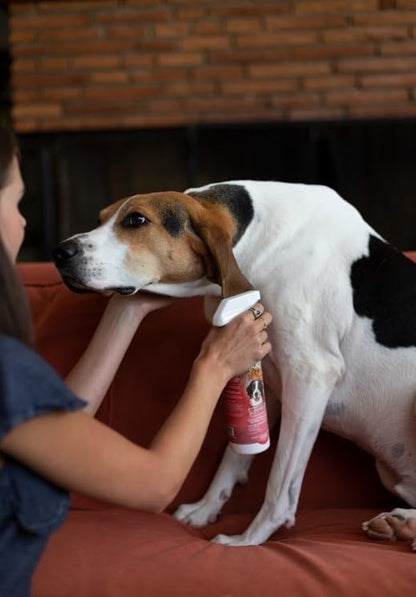 Bio-Groom Flea & Tick Protein-Lanolin Enriched Shampoo - Flea and Tick Prevention for Dogs, Cat Flea Treatment, Cruelty-Free, Made in USA, Natural Tick Repellent - 1 Gallon