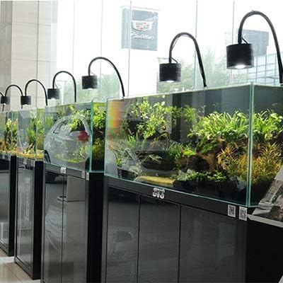 Lominie LED Aquarium Light, Remote Control 80W Planted Fish Tank Light Asta120 Clamp Clip Lamp for Freshwater Refugium Algae Fish Tank with Gooseneck (F120 80W Freshwater)