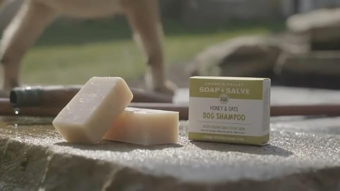 Certified Organic Dog Shampoo and Conditioner – Dog Shampoo Itchy Skin Relief and Puppy Essentials - Natural Handmade Honey & Oats, 3.8 oz Bar Soap - Chagrin Valley Soap & Salve