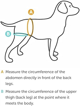 Airlift One Back end Support Harness, Lift, Mobility, Support for Dogs and Cats.Lifting Harness for Back Legs, Adjustable Hip Support Harness for Canine Aid Arthritis/Rehab (Black, XSmall 10"-15")