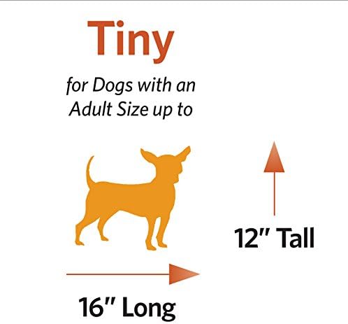 MidWest Pet Carrier: Hard-Sided Small Animal Carrier for Tiny Dog Breeds, Blue Kennel for Quick Trips