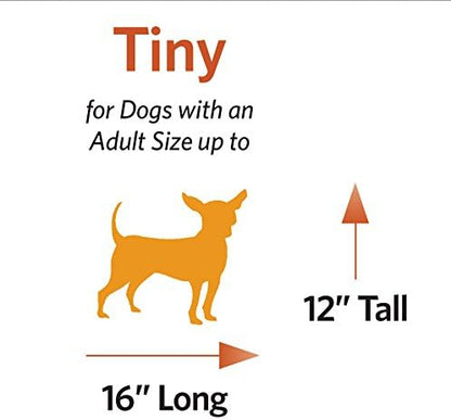 MidWest Pet Carrier: Hard-Sided Small Animal Carrier for Tiny Dog Breeds, Blue Kennel for Quick Trips