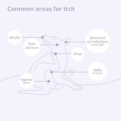 4 Shampoo for Dogs, Cats and Horses, Gallon