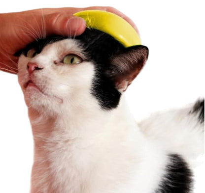 Dog and Cat Steam Brush - 3 in 1 Dog Hair Comb for Massage -Self Cleaning Steam Dog and Cat Brush for Massage, Cat Steam Brush for Removing Loose Hair (Yellow)