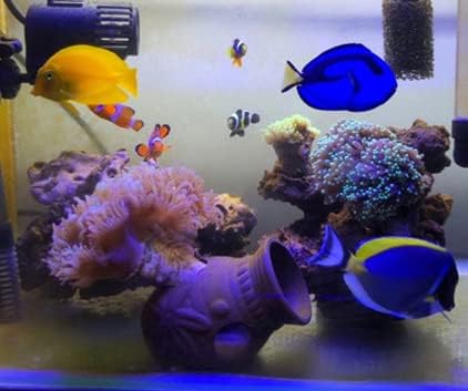 Ceramic Shelters, 2 pcs, Fish Tank Accessories, Fish House, Swim Holes Aquatic, Aquarium Cave for Freshwater and Saltwater Fish Tank, Pets to Breed, Play and Rest Decor (Pot)