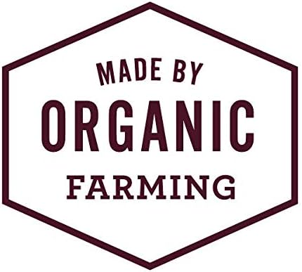 Hemp Well Relief Dog Soft Chews  Organic Hemp Soft Chews for Hip and Joint Health, Long Lasting Mobility Support (1 Pack)