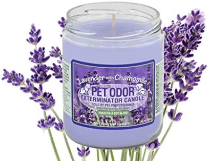 0 Pet Odor Exterminator Candle Lavender with Chamomile