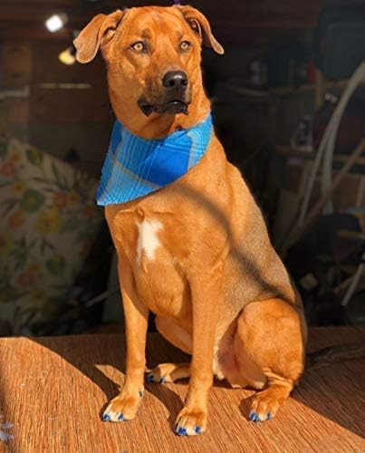 Warren London Pawdicure Dog Nail Polish Pens | Made in USA | Quick Dry, Low Odor, Non-Toxic Dog Accessories | Ideal for Dog Birthday, Dog Costume | Dries in Under 1 Minute | 13 Colors | Blue