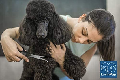 Dog Grooming Scissors, 2 Pack, Pet Scissors, Cuts Facial Hair and Body Fur, Stainless Steel with Safety Rounded Tips for a Painless, Smooth, and Clean Cut, Safe Dog Clippers for Grooming