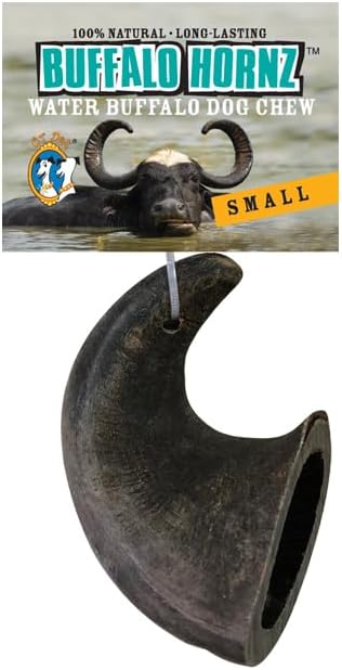 QT Dog Small Water Buffalo Horn - Long-Lasting 100% All-Natural Dog Chew, Ethically Sourced Protein-Packed & Low Fat Dental Chews