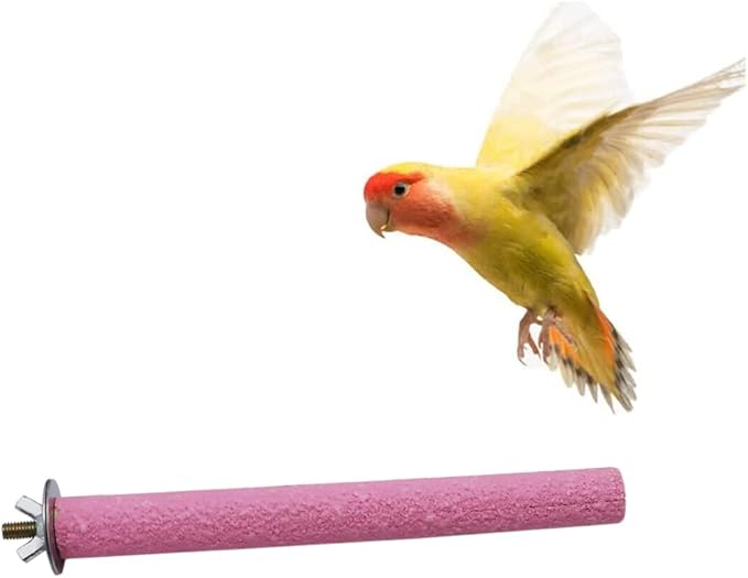 Litewoo Bird Perch Grinding Stand for Bird Parrot Budgie Parakeet Cockatiel Conure Lovebird Finchï¼7.09" / 18cmï¼