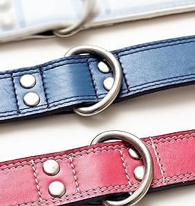 Genuine Leather Dog Collars with Stainless Steel Buckle and Double D Rings Unbreakable! (9"-12", Tan)