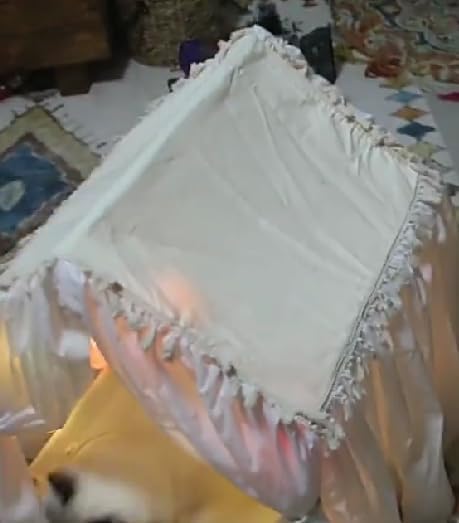 Pet House Tent Dog Kennel cat Kennel Spring and Summer Seasons can be dismantled and Washed Cute Princess Room Small Dog Teddy Bed.(White)