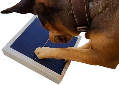 Dog Scratch Pad Nails Grinder Trimmers Clipper Board Paw Alternative pet Claw cat k9 Sanding Removal Emery File Treat Box Compartment Removeable lid (Scratch Box Kit)