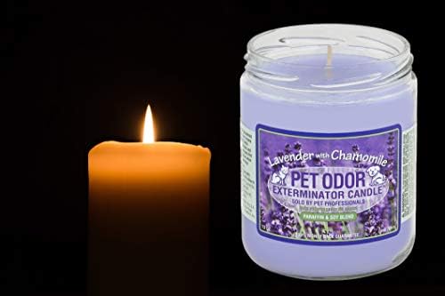 0 Pet Odor Exterminator Candle Lavender with Chamomile