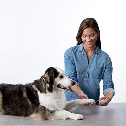 Bissell Cordless Premium Dog and Cat Nail Grinder, 26891