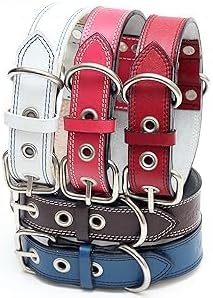 Genuine Leather Dog Collars with Stainless Steel Buckle and Double D Rings Unbreakable! (18"-21", Tan)