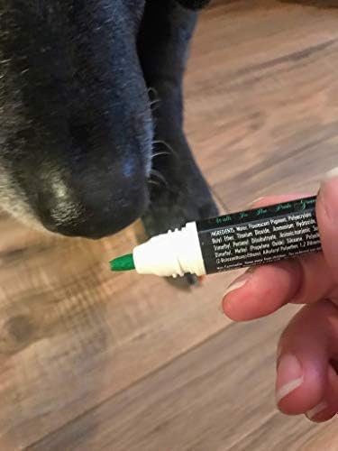 Warren London Pawdicure Dog Nail Polish Pens | Made in USA | Quick Dry, Low Odor, Non-Toxic Dog Accessories | Ideal for Dog Birthday, Dog Costume | 13 Colors | Neon Green