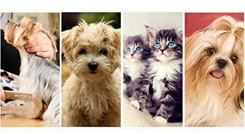 Dog Metal Comb 7.5inch Dogs Dematting Tool Pet Grooming Comb Stainless Steel Teeth Cats Pubby Comb for Removing Hair (L: 19x5cm)