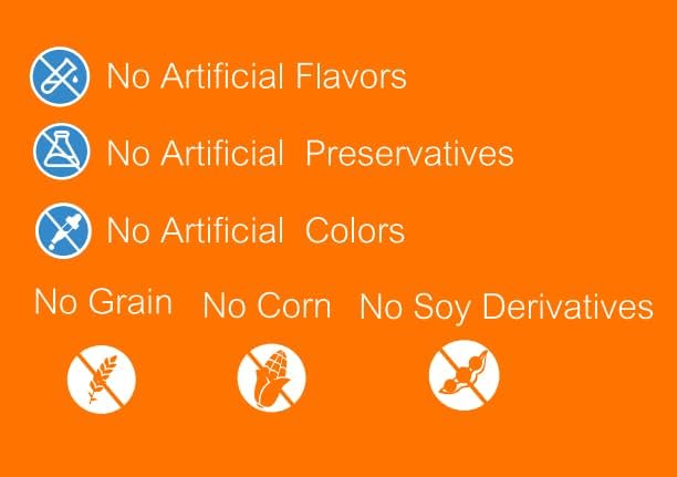 Hip & Joint Support Chews for Dogs – 100 Count, Soft Chews with Glucosamine, Chondroitin Sulfate & MSM – Mobility, Cartilage & Joint Stiffness Relief Supplement