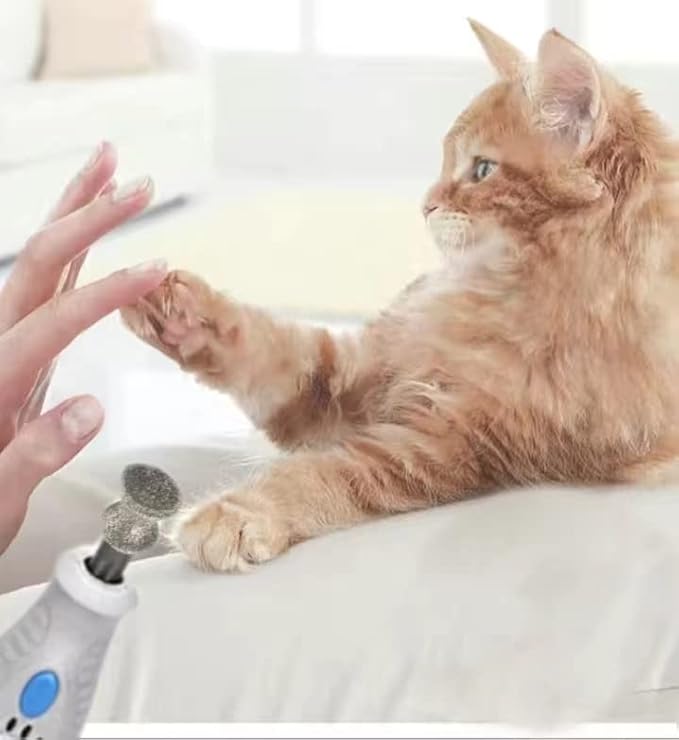 Diamond Rotary Nail Grinder Bits for Dog-Dog Nail Grinder Replacement Heads-Replaced Dog Nail Grinder Wheel- Pet Nail Grinder Attachment 2-Pack