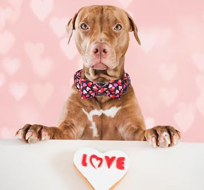 Unique Style Paws Valentine's Day Dog Collar with Bow Colorful Heart Love Dog Collars for Small Medium Large Dog New (XL, Black Bow)