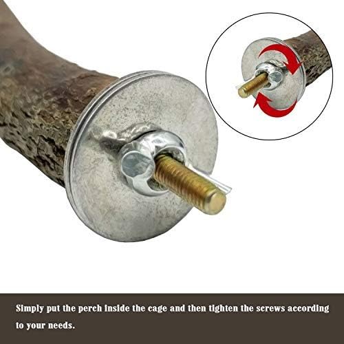 EBaokuup Bird Parrot Perch Set - 10PCS Natural Wood Parakeet Stand, Fork, Rod, Paw Grinding Stick for Budgies, Cockatiels, Conure, Lovebirds