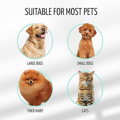 Dog Brush for Shedding Long and Short Hair, Plastic Soft Slicker for Grooming Haired Dogs and Cats, Flexible Cushion and Non-Slip Grip, Rectangular, 4,13 x 6,29 inch, Mint