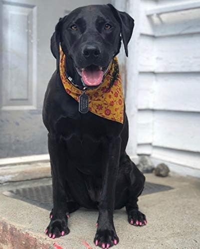 Warren London Pawdicure Dog Nail Polish Pens | Made in USA | Quick Dry, Low Odor, Non-Toxic Dog Accessories | Ideal for Dog Birthday, Dog Costume | Dries in Under 1 Minute | 13 Colors | Pink