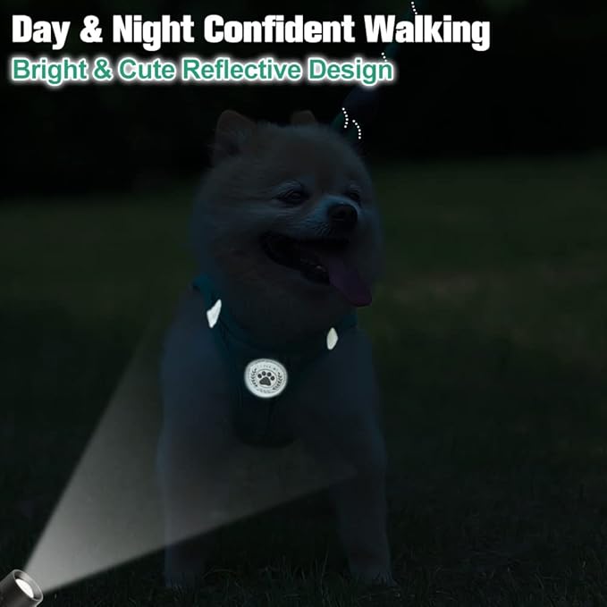 BEAUTYZOO Small Dog Harness and Leash Set,Step in No Chock No Pull Soft Mesh Dog Harnesses Reflective for Extra-Small/Small Medium Puppy Dogs and Cat, Plaid Dog Vest Harness for XS S Pet,Turquoise XXS