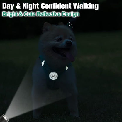 BEAUTYZOO Small Dog Harness and Leash Set,Step in No Chock No Pull Soft Mesh Dog Harnesses Reflective for Extra-Small/Small Medium Puppy Dogs and Cats, Plaid Dog Vest Harness for XS S Pets, Teal S