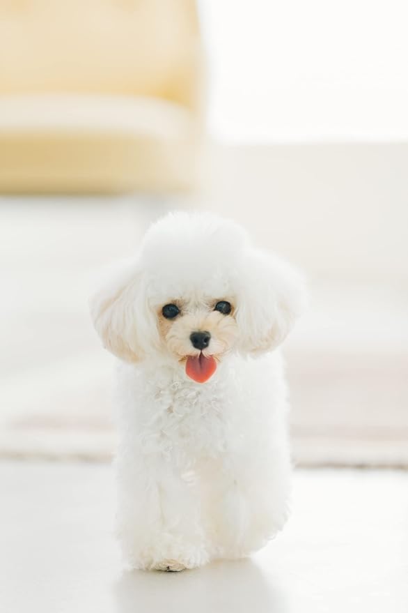 Nature's Protection Dog Treats for Small, Medium & Large Breed - Grain Free Hip & Joint Snack for Adult Dogs with Light Fur, 3.8 oz (Superior Care - White Fish, Pack of 7)