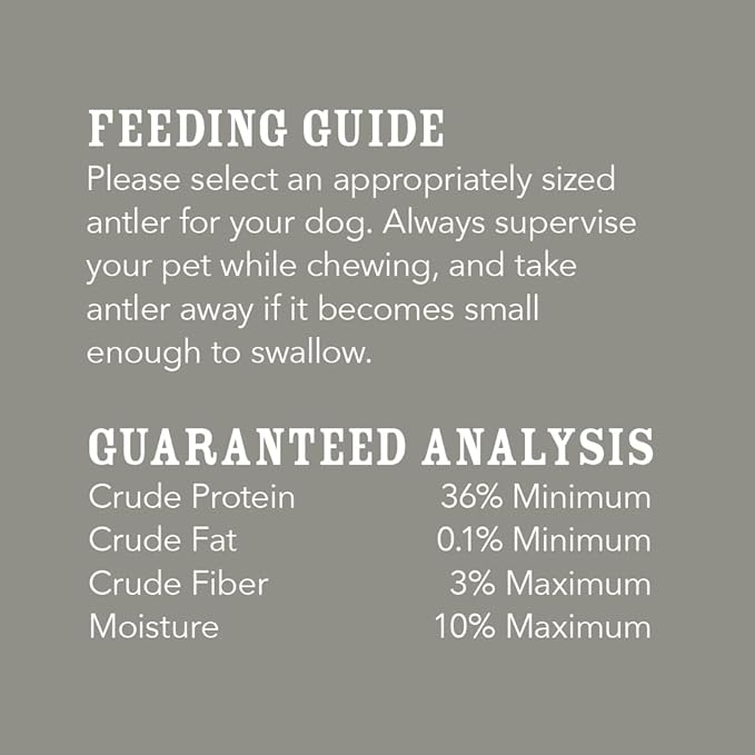 Amazon Brand  Wag Dog Deer Antler Chew, Naturally Shed. Whole, Small (Best for Dogs under 15 lbs) 45.5 inches