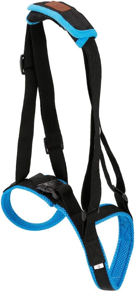 Adjustable Pet Dogs Lift Support Harness Breathable Mesh Padded Sling Straps Canine Support Rehabilitation for Injuries Arthritis Weak hind Legs & Joints, Blue (L)